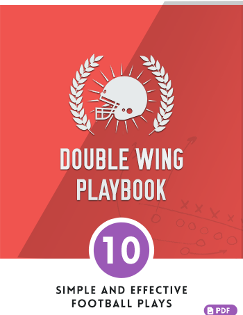 doublewing350
